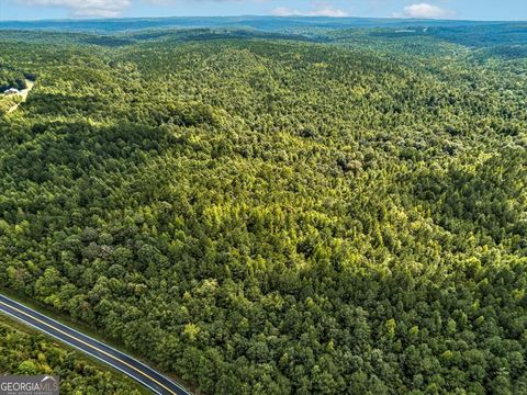 TR 11 Old Ridgeway RD Bremen GA 30110