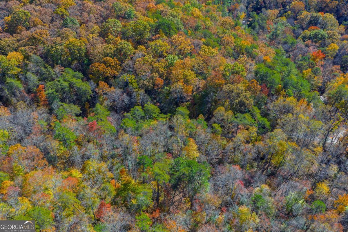 0 Willard Mountain RD
