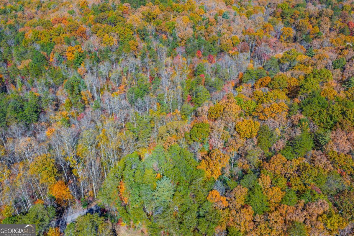 0 Willard Mountain RD