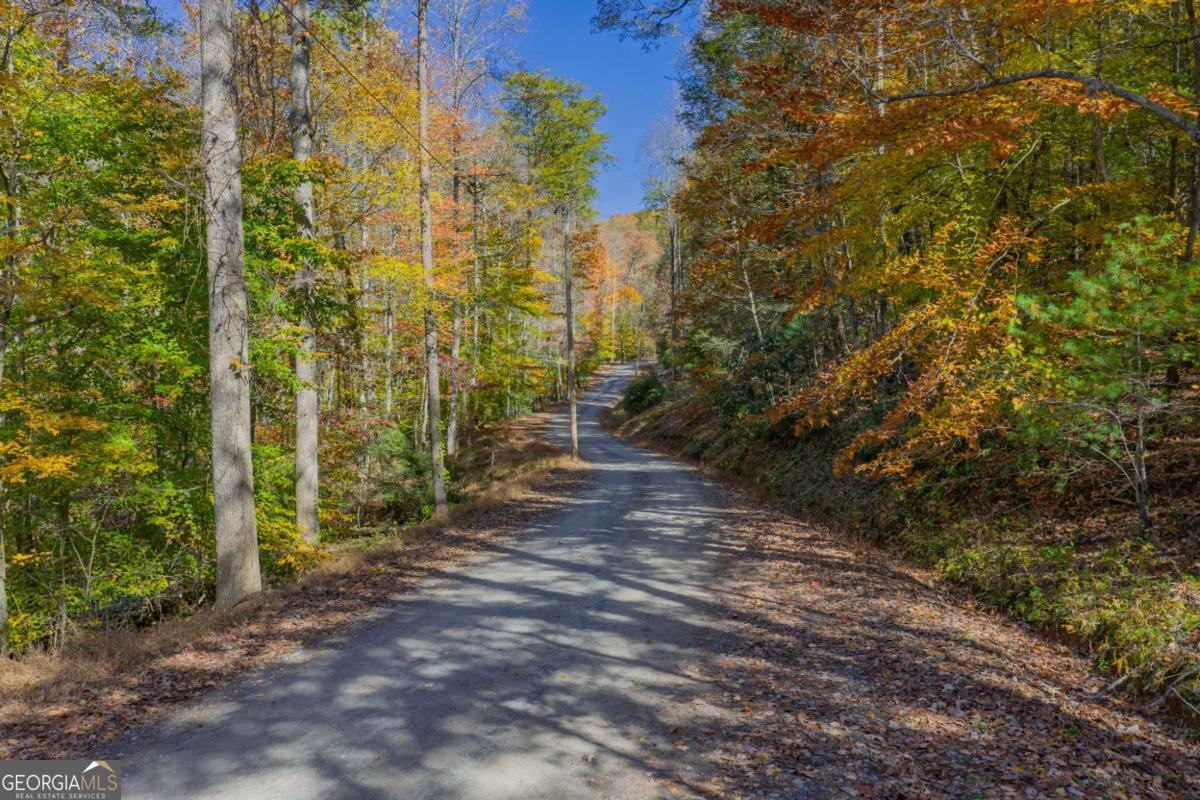 0 Willard Mountain RD