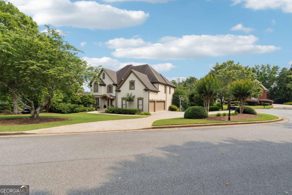 100 Pine Mist CIR
