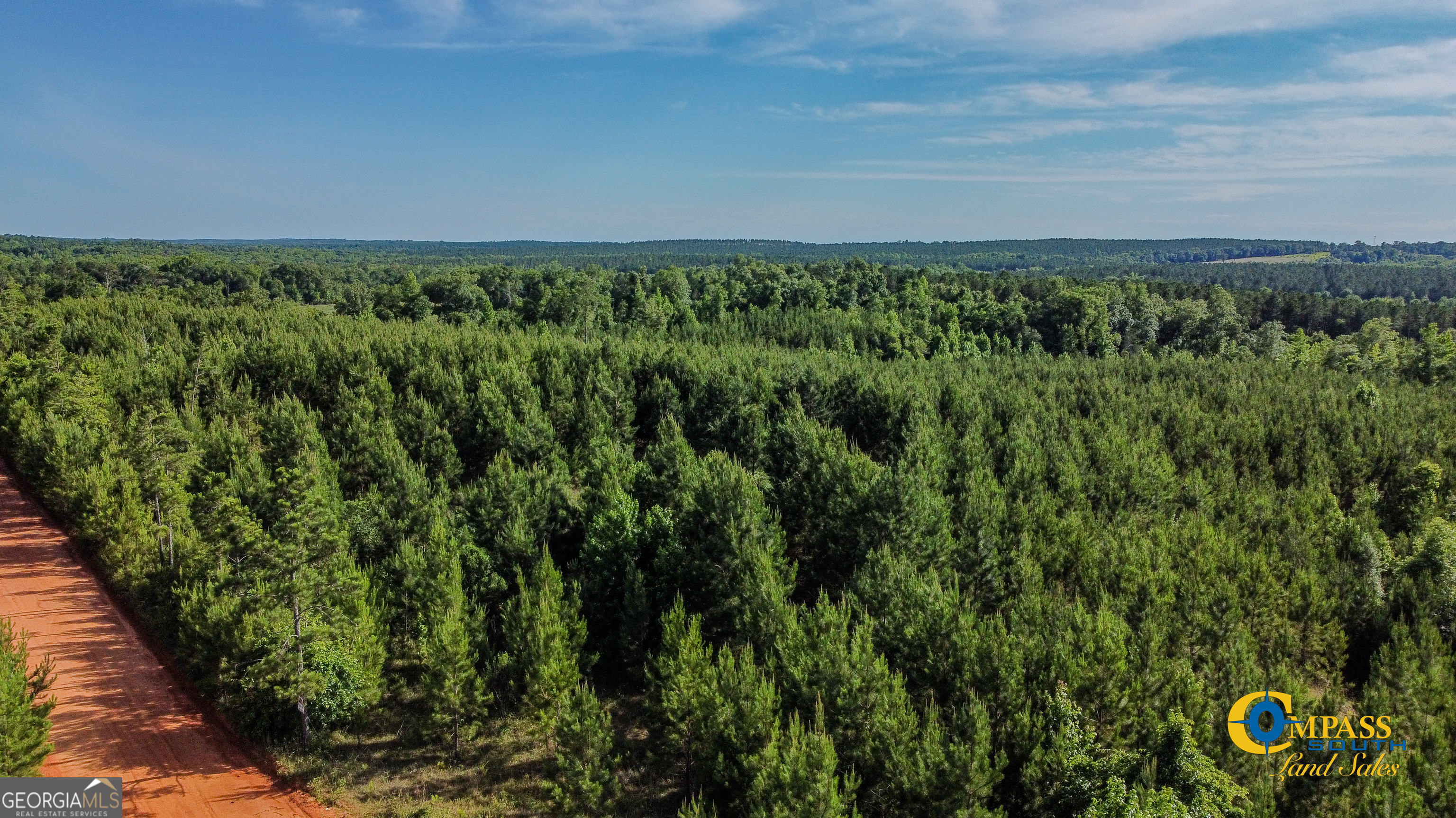 Photo 1 of 5 — 0 Welch RD, Buena Vista, GA 31803