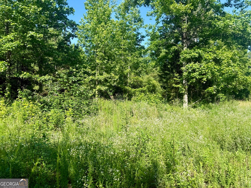 Photo of 249 Weems Road, Lyerly, GA 30730 (MLS # 10782550)