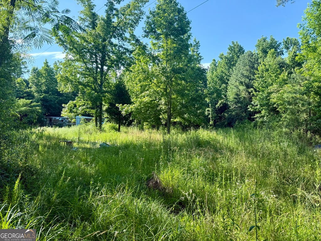 Photo of 249 Weems Road, Lyerly, GA 30730 (MLS # 10782550)