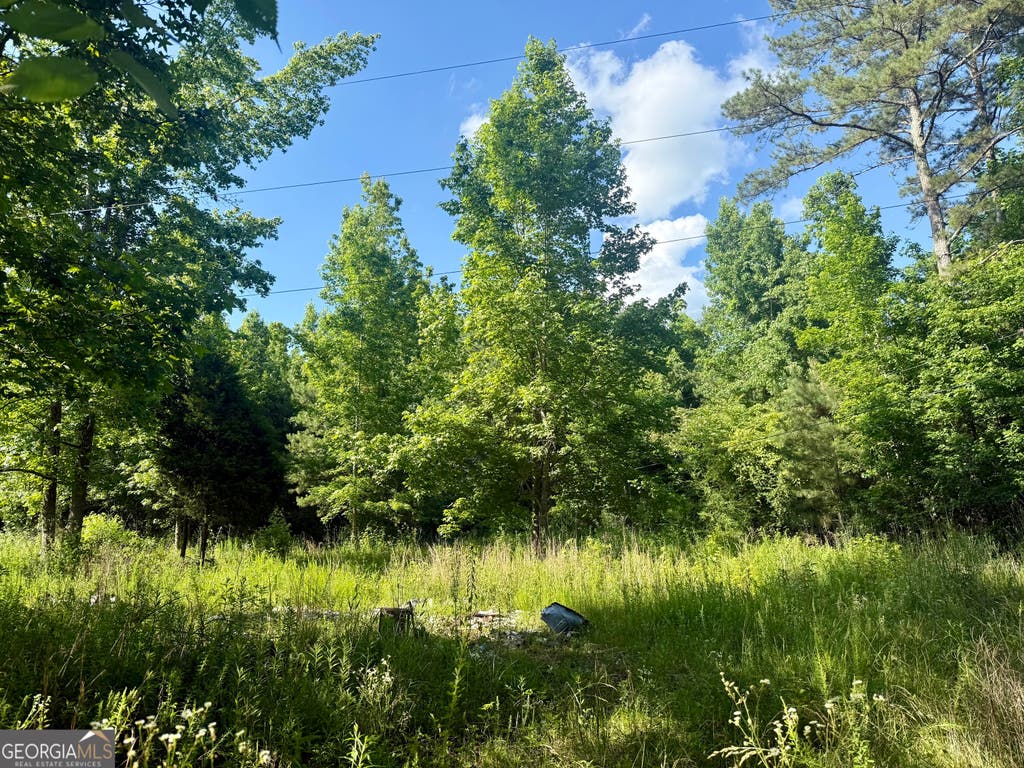 Photo of 249 Weems Road, Lyerly, GA 30730 (MLS # 10782550)