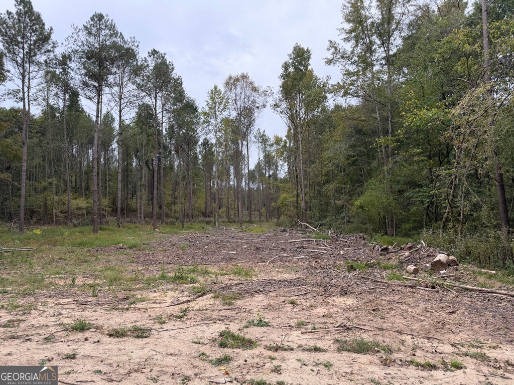 Photo of 0 Adolphus Callaway Road, Rayle, GA 30660 (MLS # 10871386)