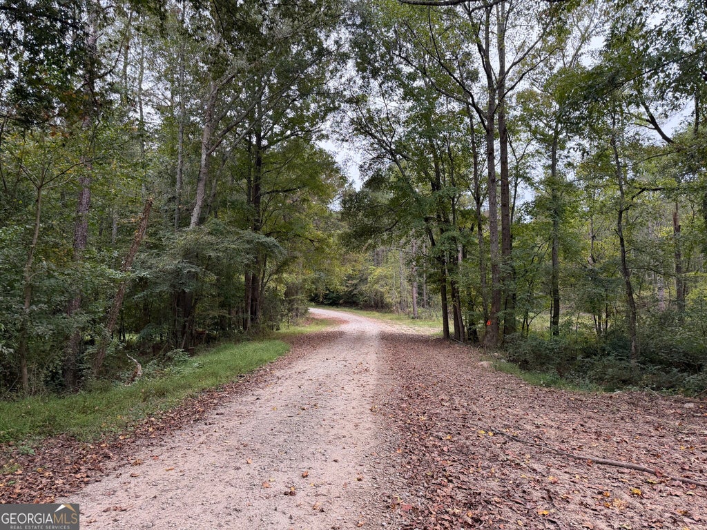 Photo of 0 Adolphus Callaway Road, Rayle, GA 30660 (MLS # 10871386)