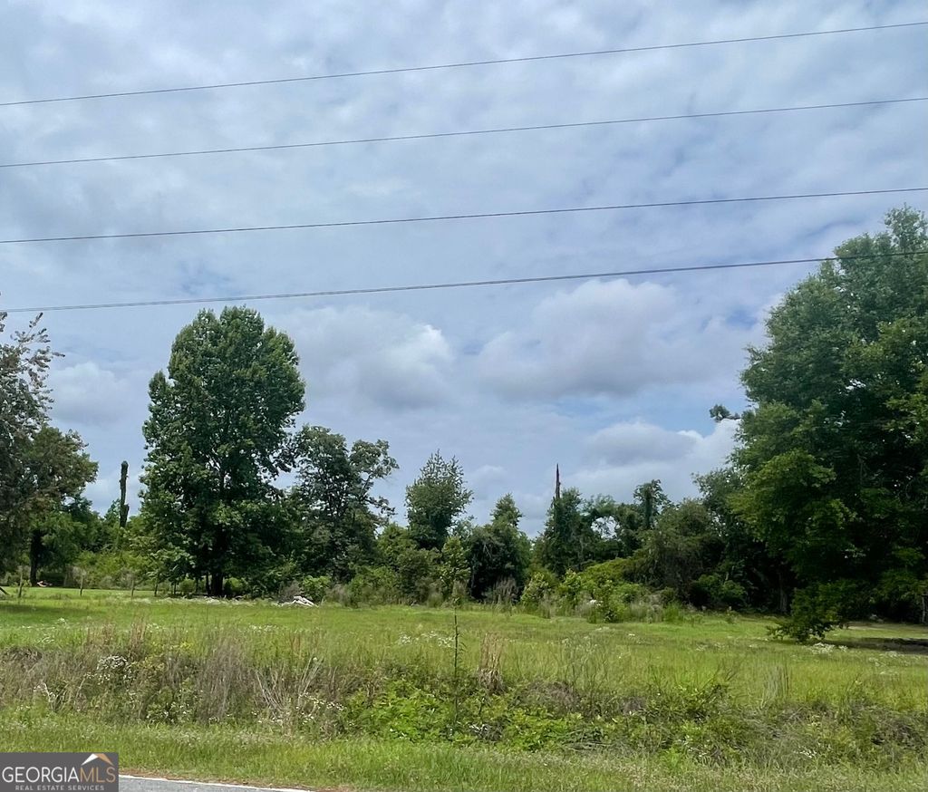 Photo of 181 Timberloch Drive, Vidalia, GA 30474 (MLS # 10772596)
