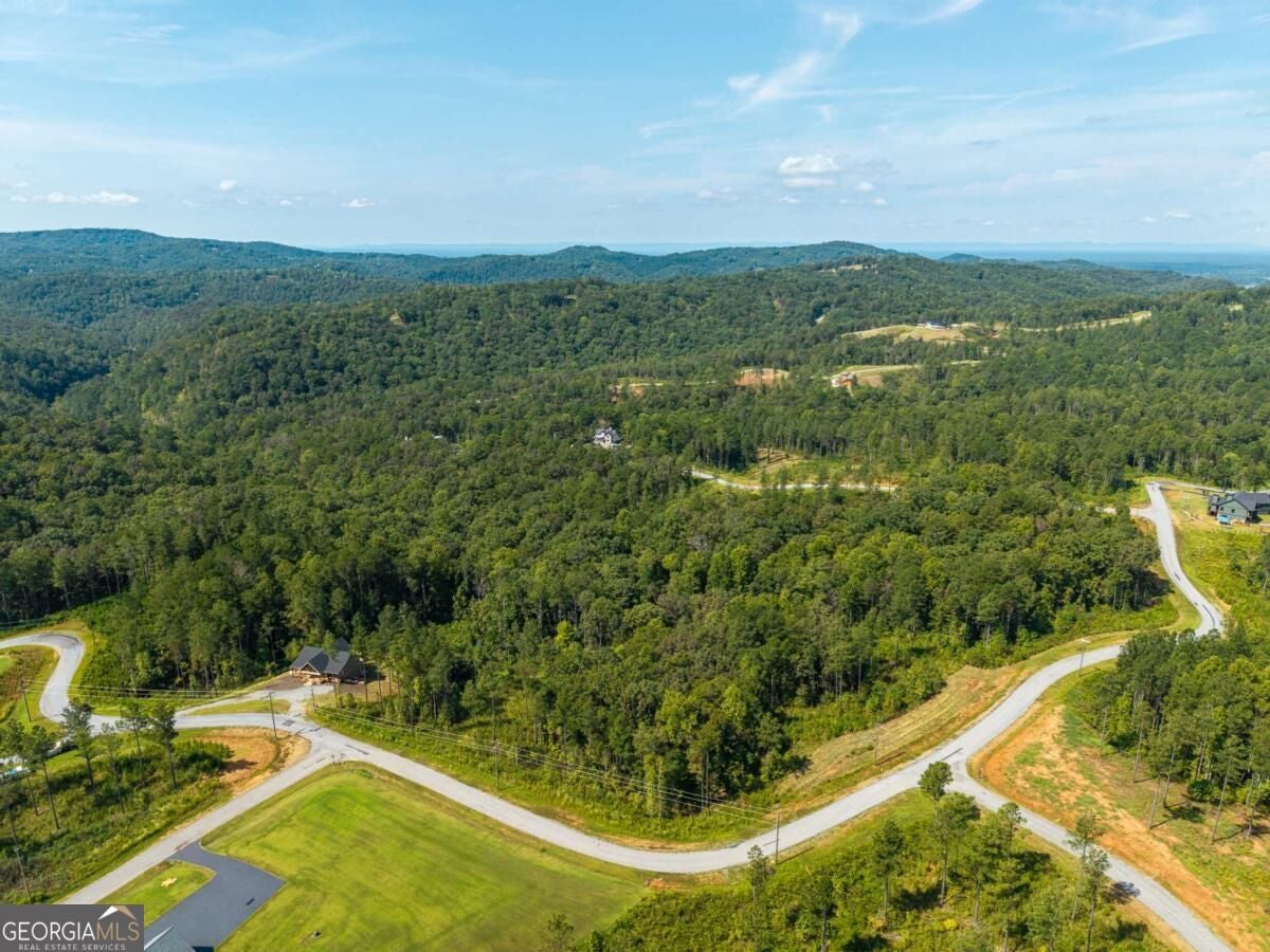 LT 141 Blalock Mountain RD