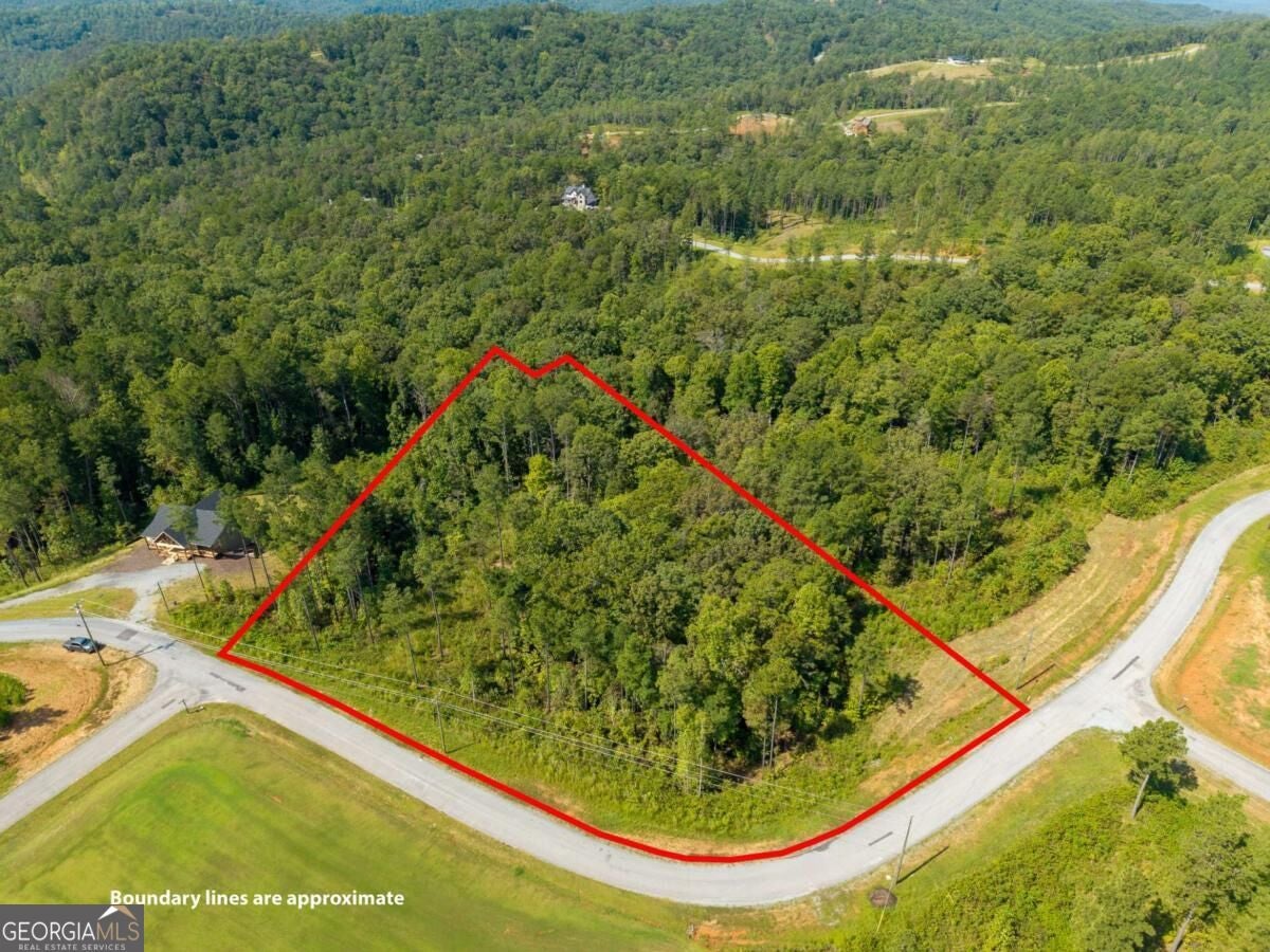 LT 141 Blalock Mountain RD
