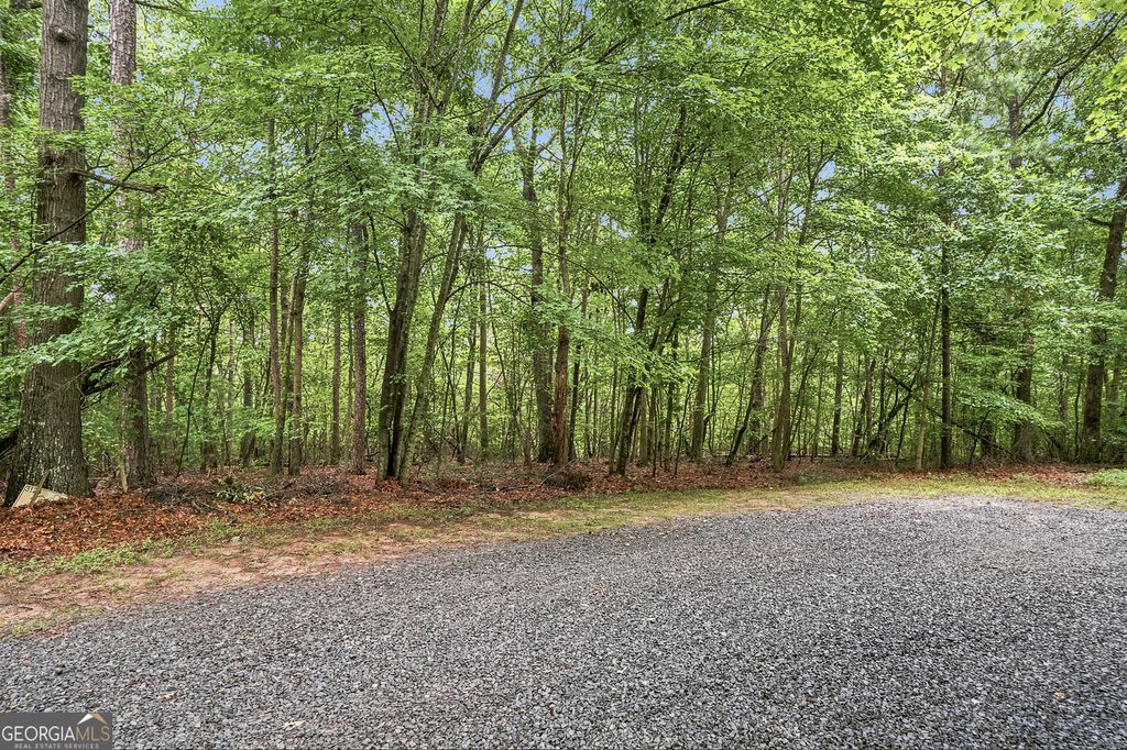 Photo of 58 Red Bud Lane, Ellijay, GA 30540 (MLS # 10811787)