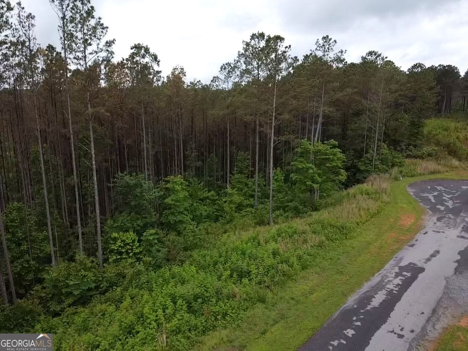 LOT 37 Pine Grove LN