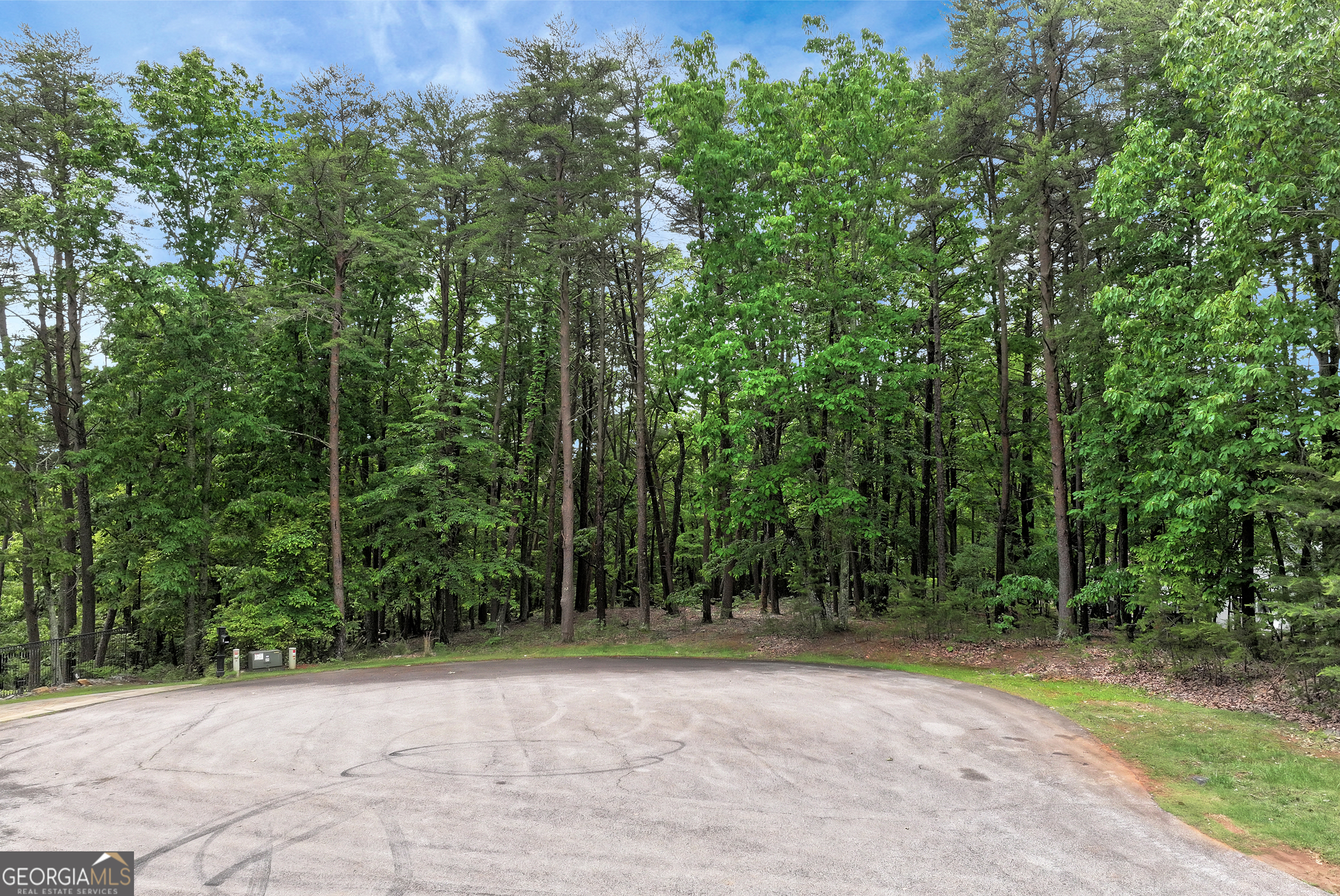 0 White Tail CT