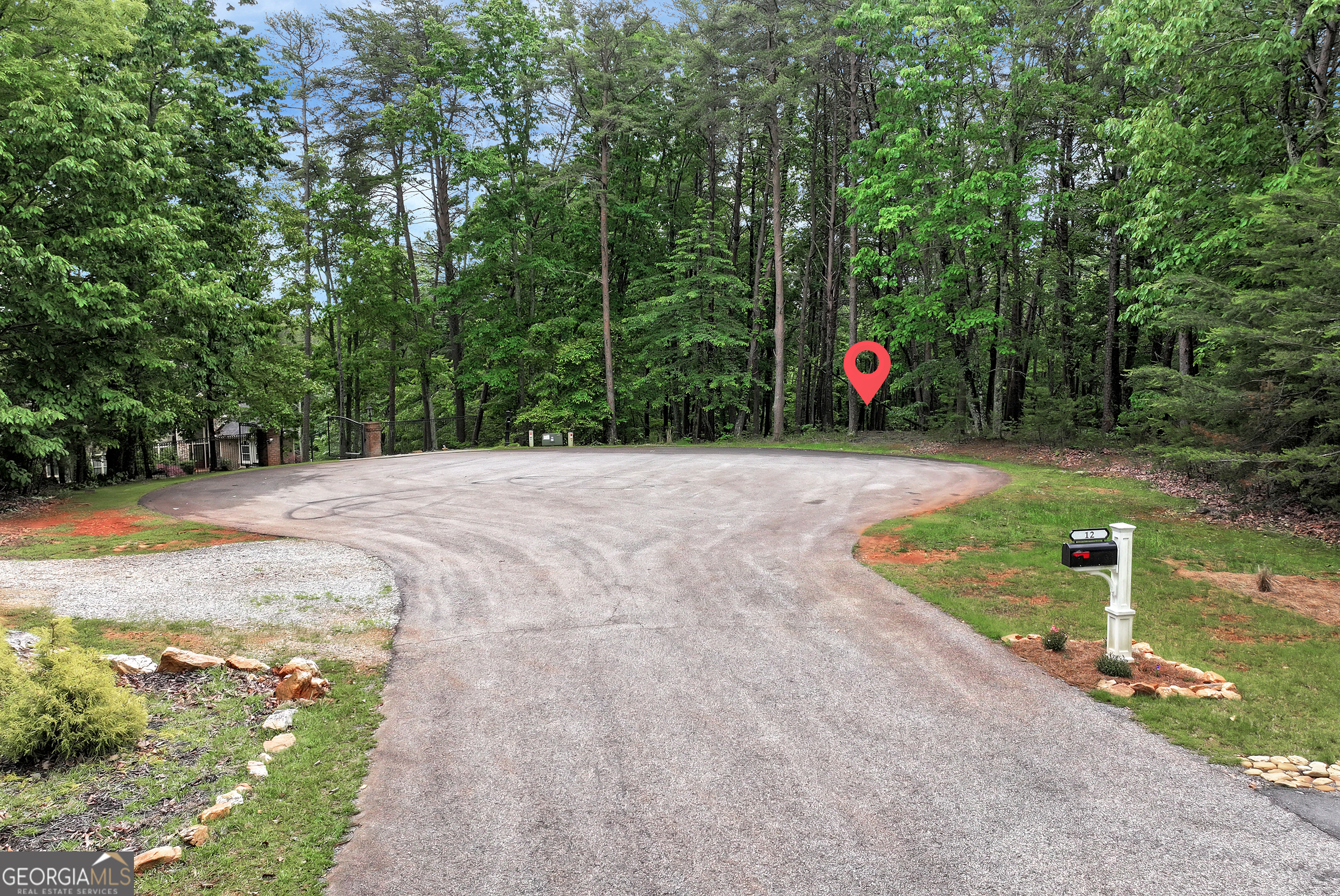 0 White Tail CT