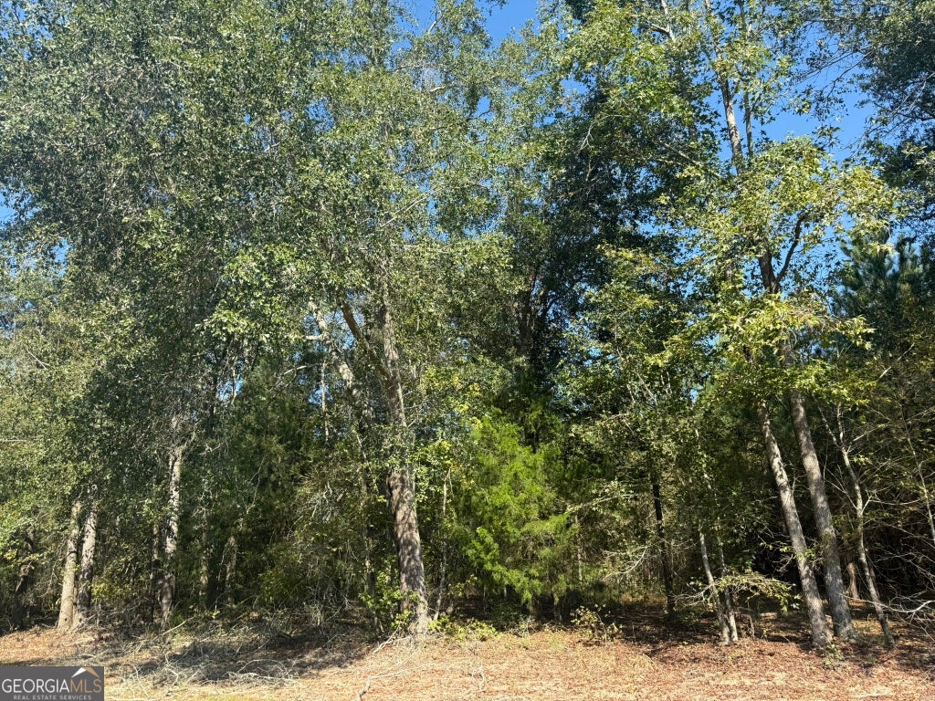 Photo of 1 216 Highway, Arlington, GA 39813 (MLS # 10875521)
