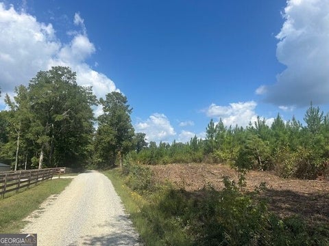 Photo of 0 Millen Road #TRACT 17, Monticello, GA 31064 (MLS # 10848945)