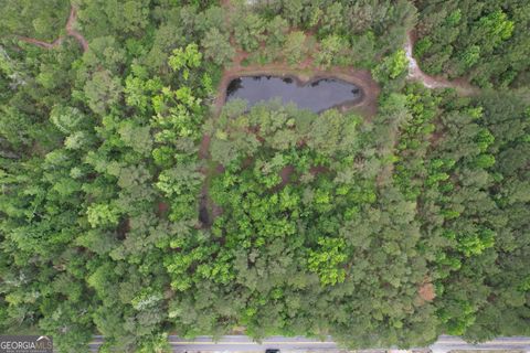 Photo of 152 Mt Pleasant Road, Clyo, GA 31303 (MLS # 10759073)