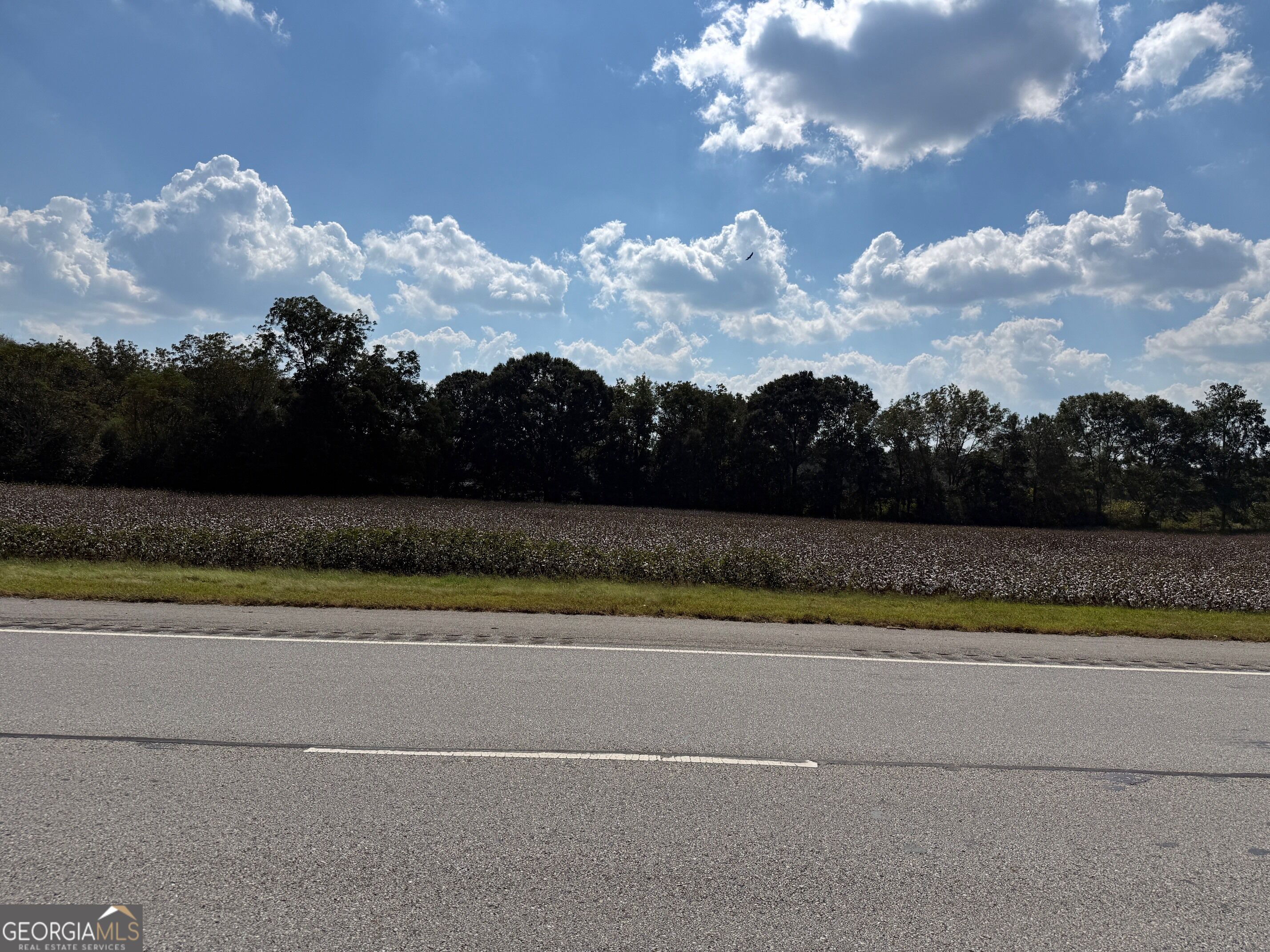 14880 S Highway 17