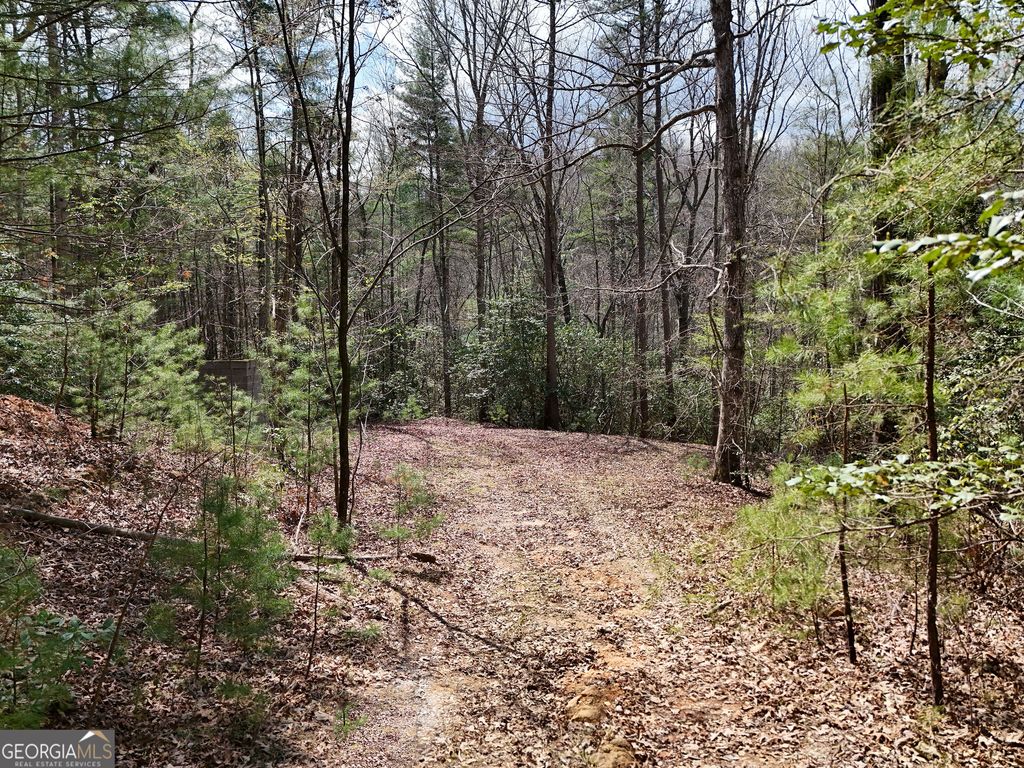 Photo of 117 Laurel Trace, Blue Ridge, GA 30513 (MLS # 10730335)