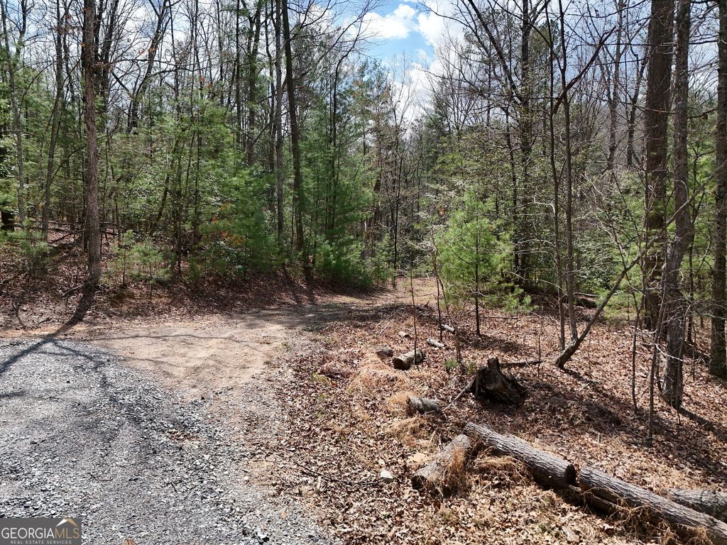 Photo of 117 Laurel Trace, Blue Ridge, GA 30513 (MLS # 10730335)