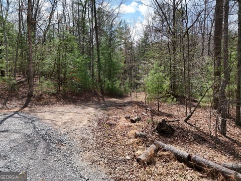 Photo of 117 Laurel Trace, Blue Ridge, GA 30513 (MLS # 10730335)