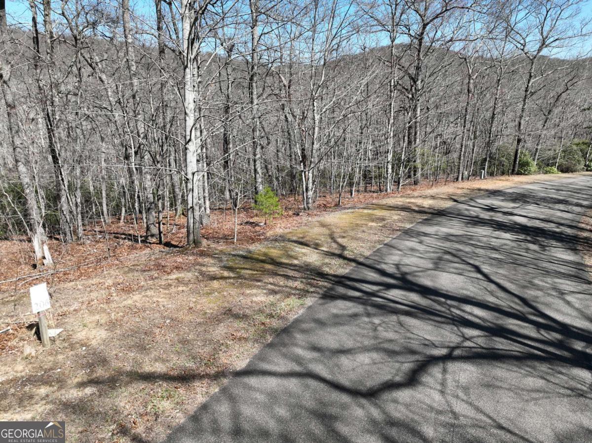 Seasonal mountain views and personal valley view! This lot starts out gentle at the roadside then graduates to a steeper slope downward through beautiful mountain laurels revealing your own personal valley view where you will own both sides of the valley. Build near the roadside for a navigable driveway and to get that beautiful valley view on your back deck, or build toward the back with a long driveway and amazing privacy. At the bottom of the valley you'll find a very small spring-fed stream that begins on an adjacent lot, diagonally crossing the parcel that meets up with a spring located on the right side of the lot, which continues to feed a nearby waterfall. Electric, phone, cable and high-speed internet is available! This 3.88 acre wooded lot has seasonal mountainviews too! Close to wineries, apple orchards, hiking trails, and more. You'll love this gated subdivision of custom-built homes, underground utilities, and a state park-like feel! Don't let this opportunity slip by! 2000 ft min of heated area on first floor required, HOA, gated,restrictions, no rentals, no mobile homes, no camping. Must be with an agent. Terrain parcel line photos are an approximation only.