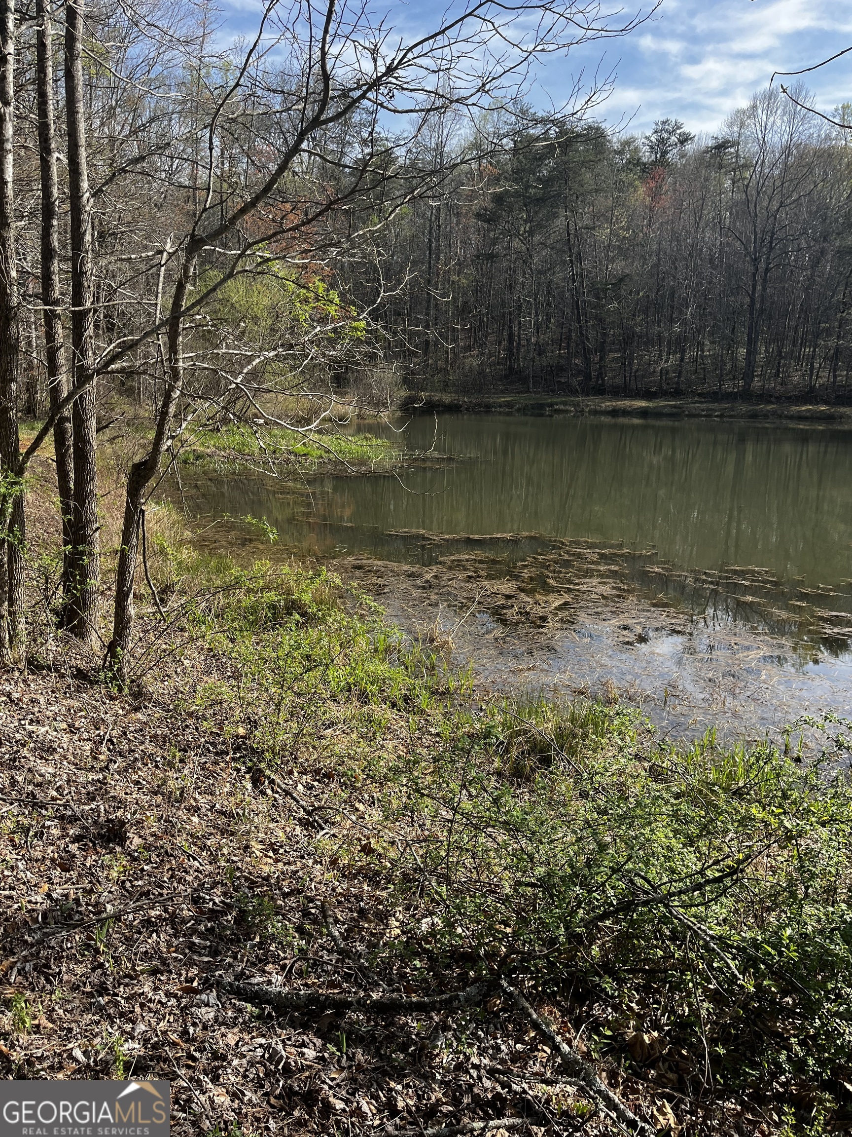 169 Wildhorse Cove CIR