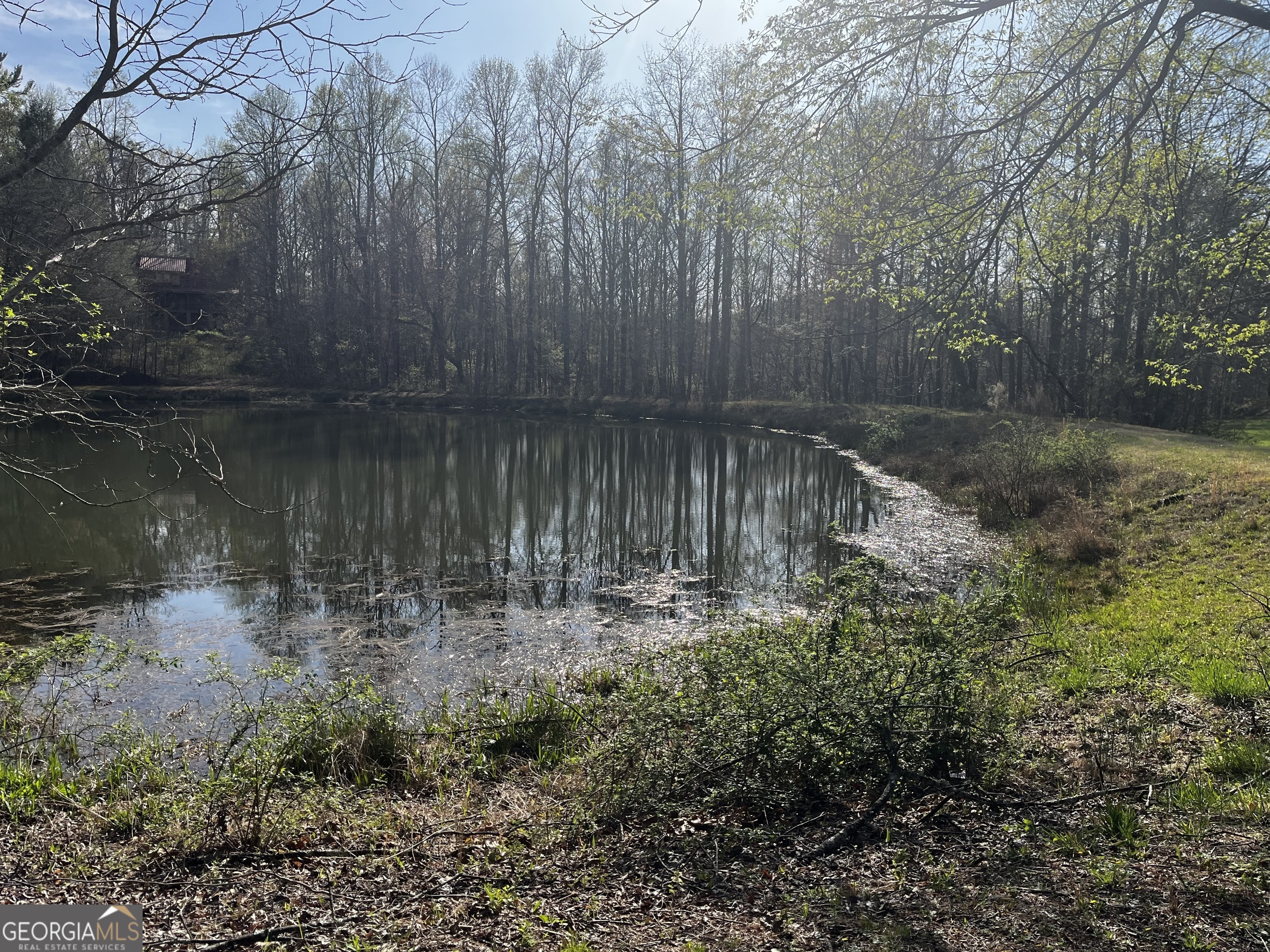 169 Wildhorse Cove Circle
