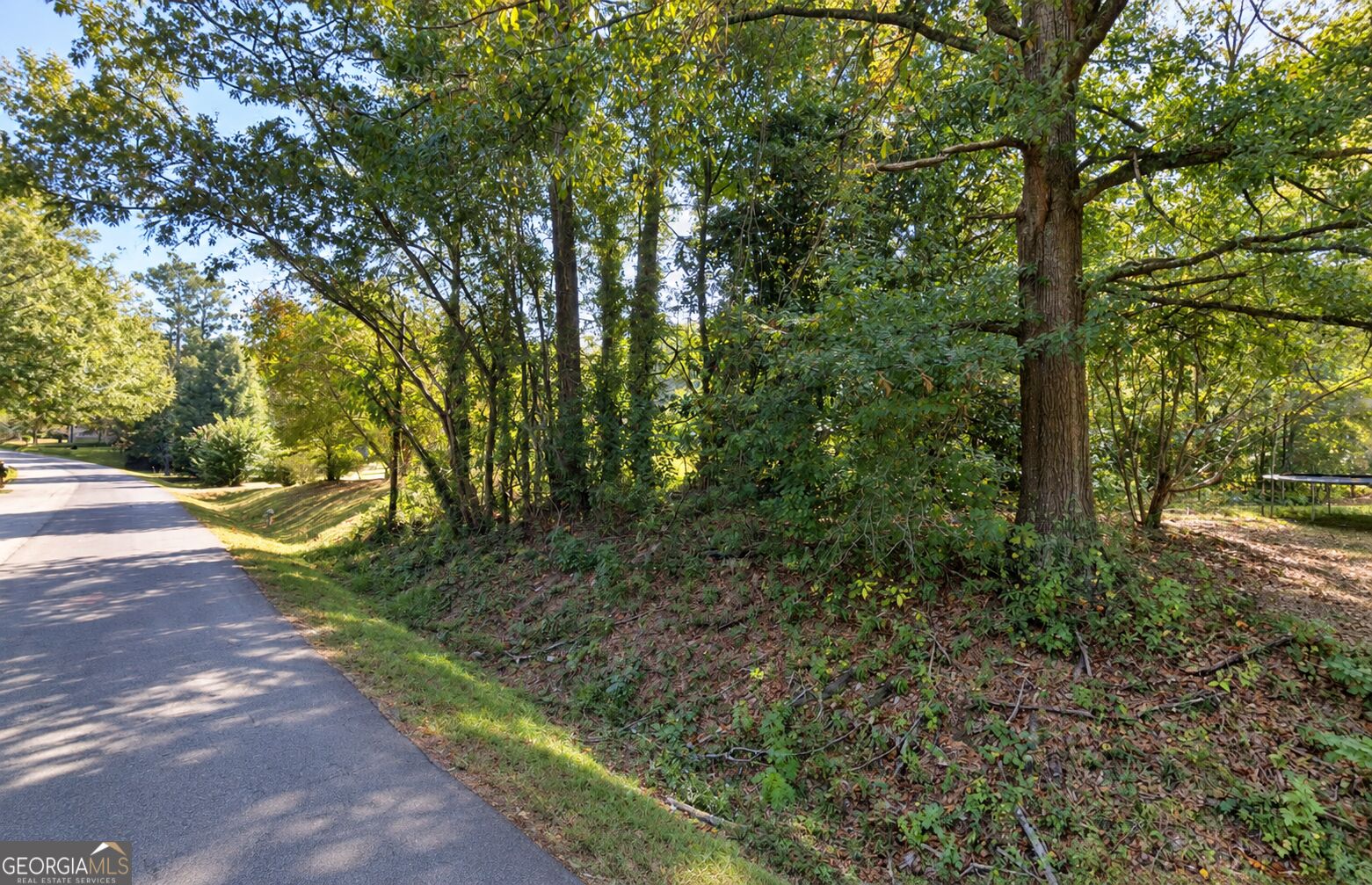 320 Simonton Mill RD