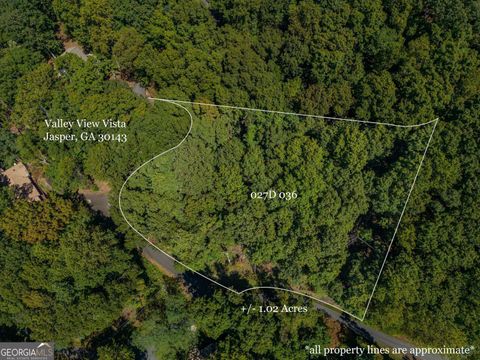 0 Valley View VIS Jasper GA 30143
