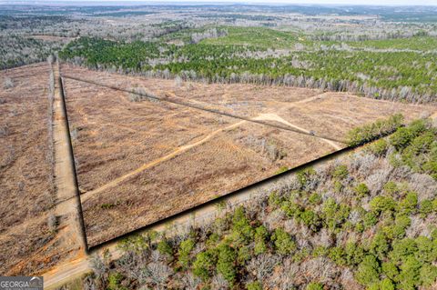 Photo of 869 Marion Ripley Rd, Dry Branch, GA 31020 (MLS # 10658316)