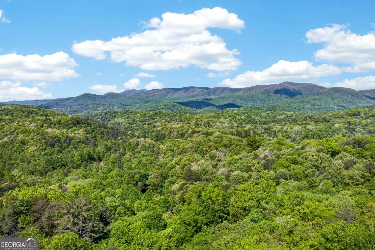 532 Cohutta Mountain RD