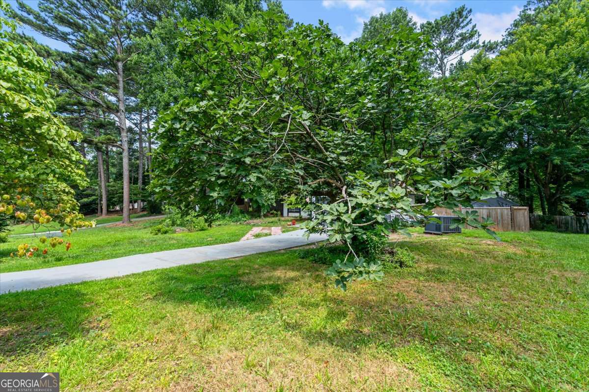 3121 Rio Montana DR