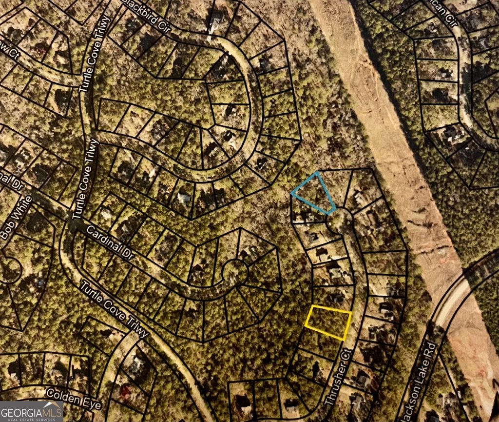 Photo of 0 Thrusher Court #LOT 17, Monticello, GA 31064 (MLS # 10700318)