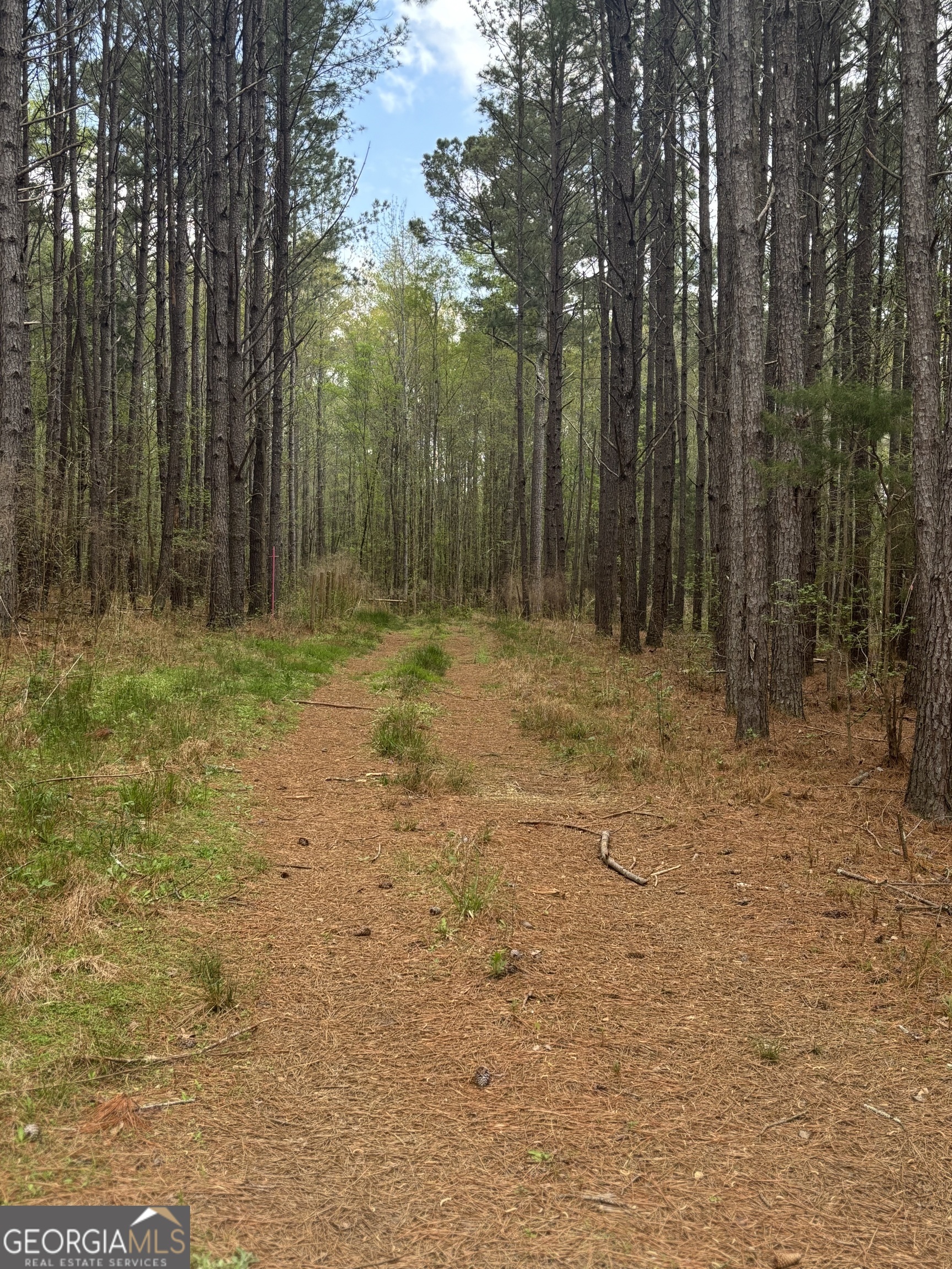 556 Benton Rd, Covington, GA 30014 is a 6.08-acre vacant lot located in a peaceful and private area of Newton County, Georgia. The property features a mix of open fields and wooded areas, offering a versatile landscape perfect for building a custom home, farming, or recreational use. With level terrain and ample space, the lot provides endless possibilities for development while maintaining a sense of seclusion. The surrounding area is a blend of residential properties and natural scenery, ensuring a quiet and rural atmosphere while still being conveniently accessible to local amenities. Whether you're looking to build your dream home or invest in land, this property presents a great opportunity in a desirable location.