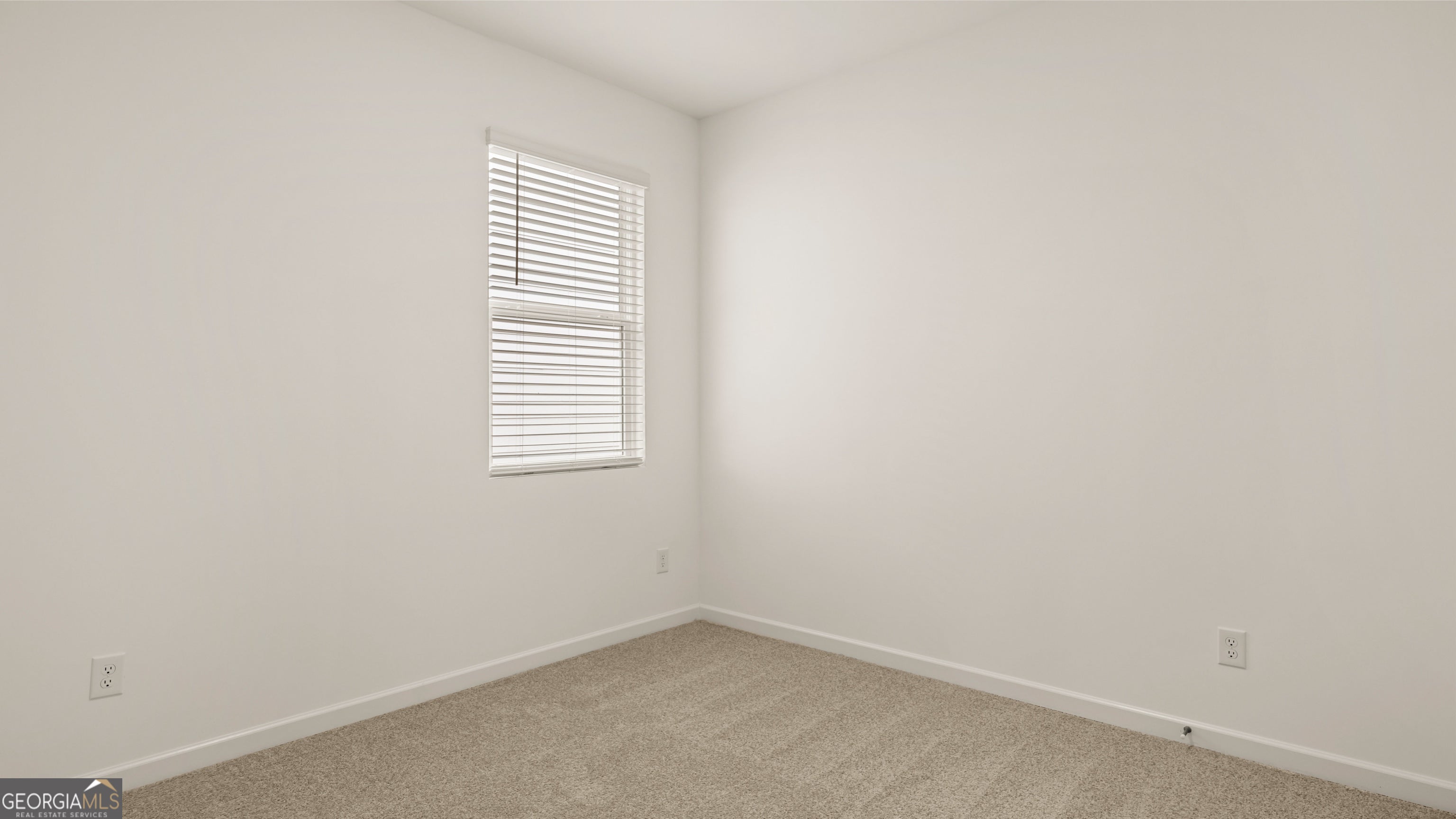 570 Great Salt LN
