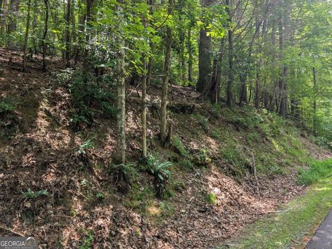 Photo of 1 Goldmine Drive, Ellijay, GA 30536 (MLS # 10565844)
