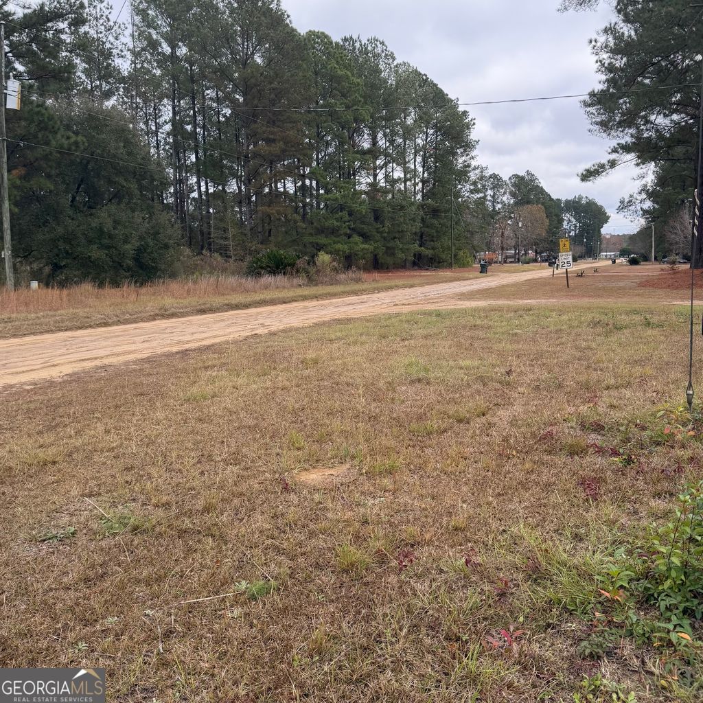 Photo of 0 Hulsey Drive, Metter, GA 30458 (MLS # 10656930)