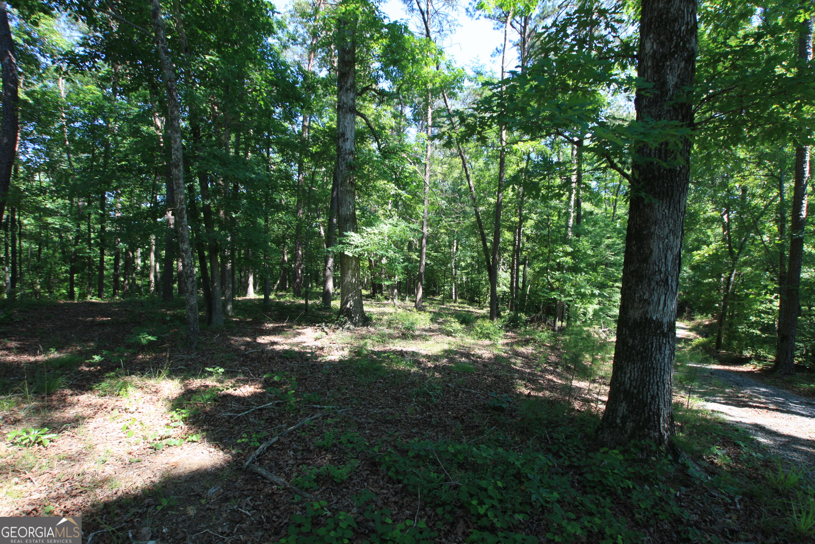 0 McGee Bend Road