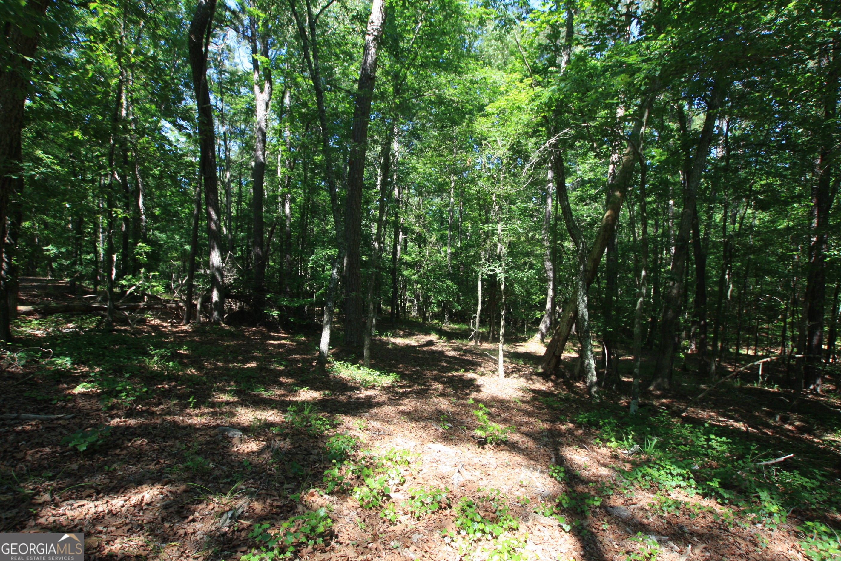0 McGee Bend Road