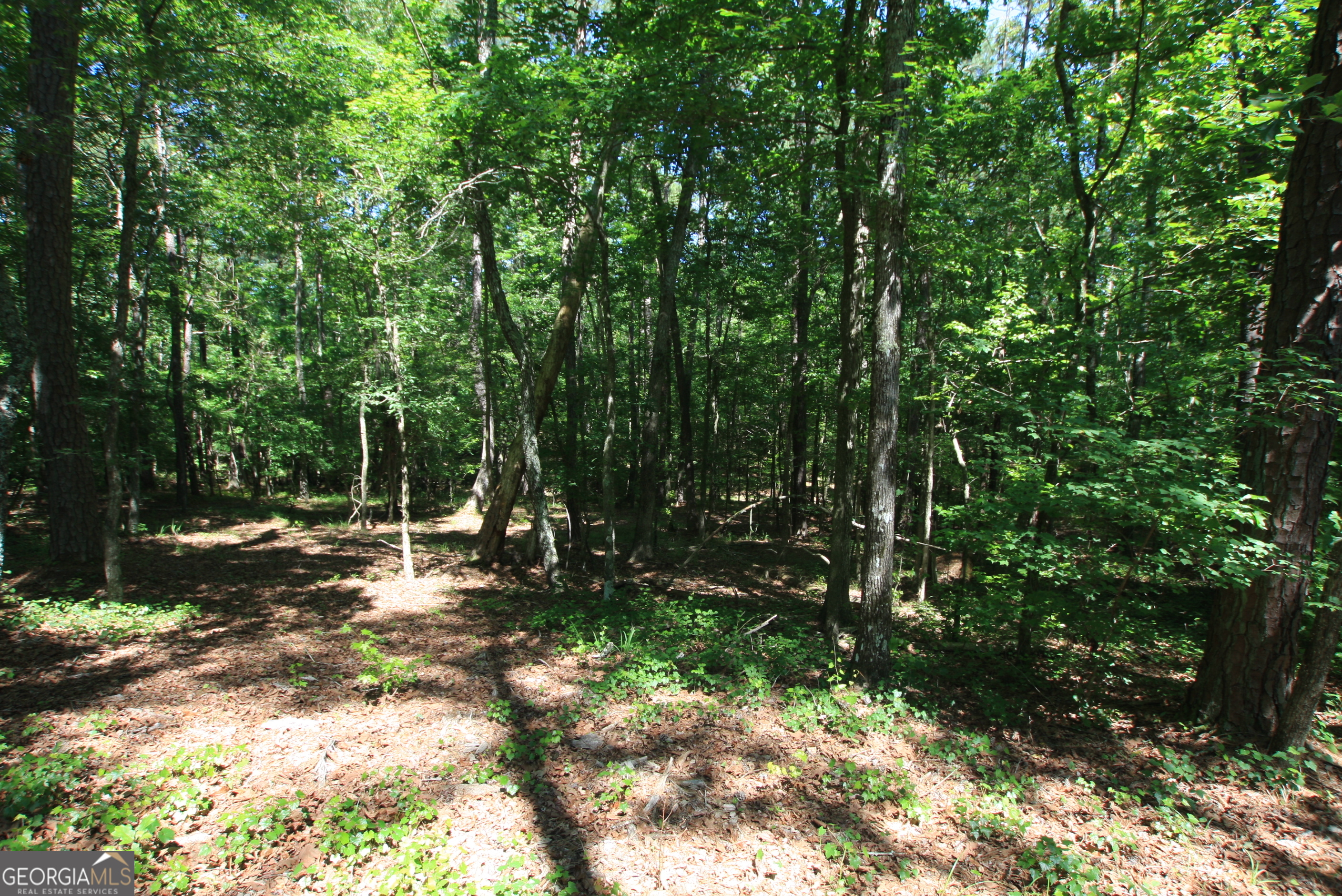 0 McGee Bend Road