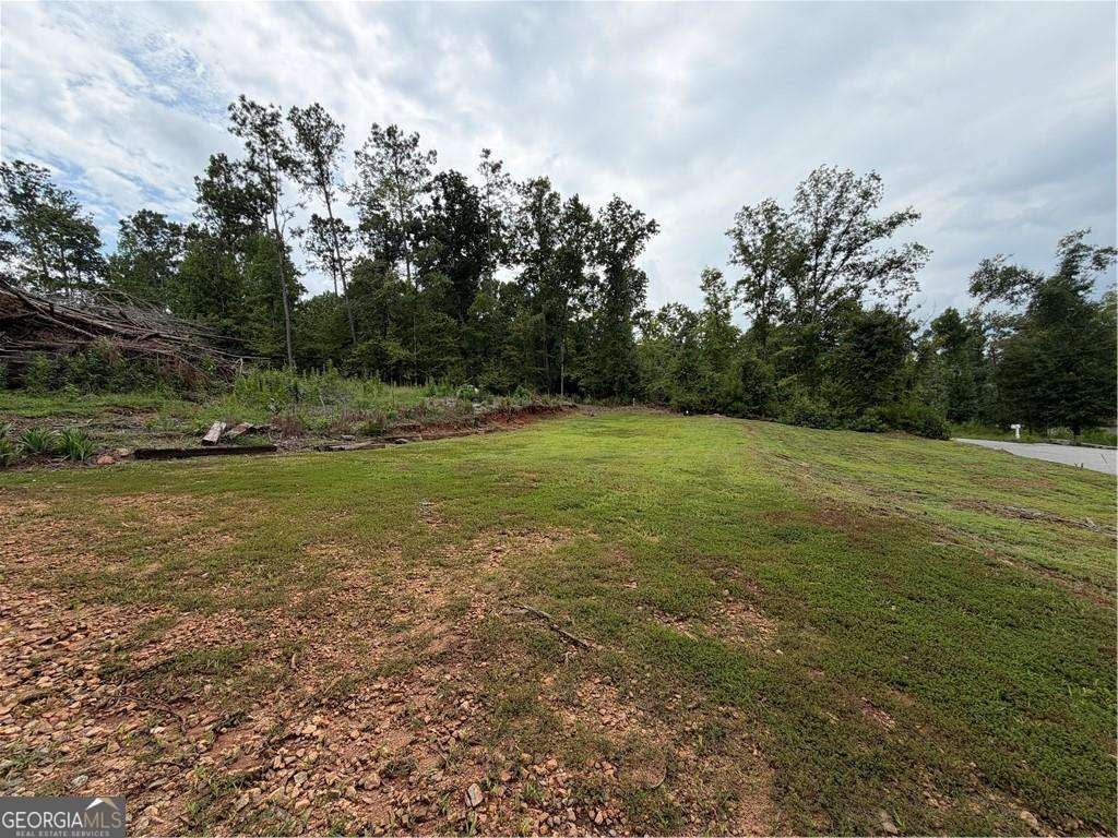 Photo of 345 Friar Tuck Circle, Covington, GA 30014 (MLS # 10828233)