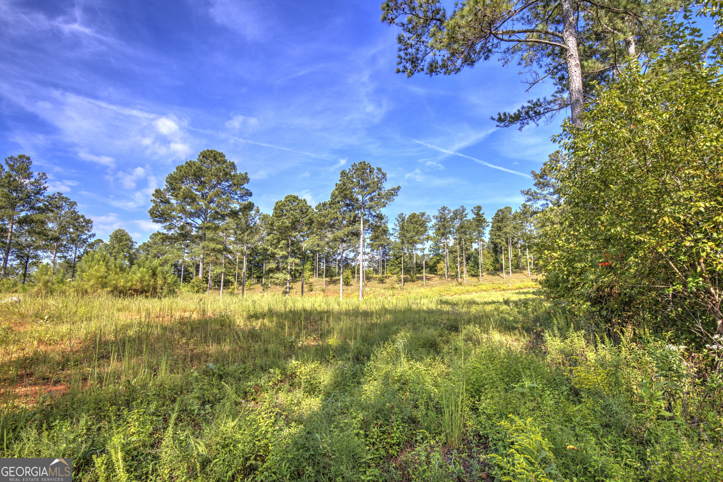 Welcome to your private mountain sanctuary in the coveted community of High River! This is more than just a piece of land; it's an invitation to a lifestyle defined by tranquility, adventure, and modern comfort. Imagine building your dream home on this exceptional 6.23-acre lot, a significantly larger-than-average lot that offers unparalleled space and setting. Nestled in the scenic North Georgia mountains, just 10 minutes from charming downtown Ellijay, this lot provides a truly peaceful retreat. The property is located on a very quiet and desirable paved road, situated close to the gated entrance and off the main community road, located away from the majority of community traffic. With a driveway already in place and a gently sloping terrain, you have multiple ideal building sites. A charming stream meanders along the edge of the property, adding a serene touch to the landscape, while the community's waterways are a short walk away. With the freedom to use your own builder, you can design a custom retreat that perfectly matches your vision, whether it's a permanent home, a lucrative weekend getaway, or an income producing STR. High River is a gated, hidden gem where the amenities are second to none. Enjoy access to Lake Lecroy, Mountaintown Creek, and the Coosawattee River which flows all the way to Carters Lake. Whether you enjoy TROUT fishing, kayaking, canoeing, tubing, or simply relaxing by the water, this community has it all. A beautiful clubhouse is situated at the confluence of Mountaintown Creek and Coosawattee River. There are community fire pits and multiple picnic areas and parks within the community. You can also explore miles of scenic walking trails and green spaces right outside your door. High River provides the best of both worlds, combining secluded mountain living with the convenience of modern amenities. The community is equipped with paved roads, underground utilities, high-speed fiber internet, and a private community water system.