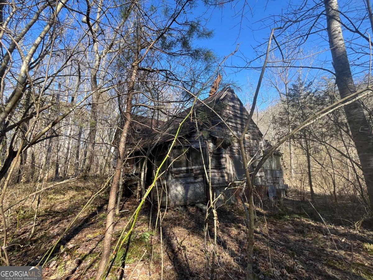 513 Trackrock Gap RD