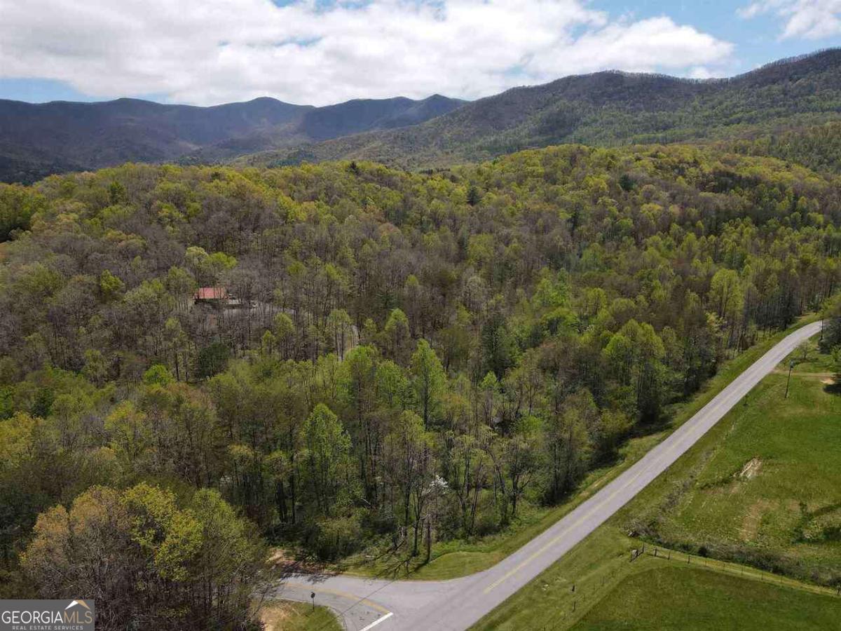 513 Trackrock Gap RD