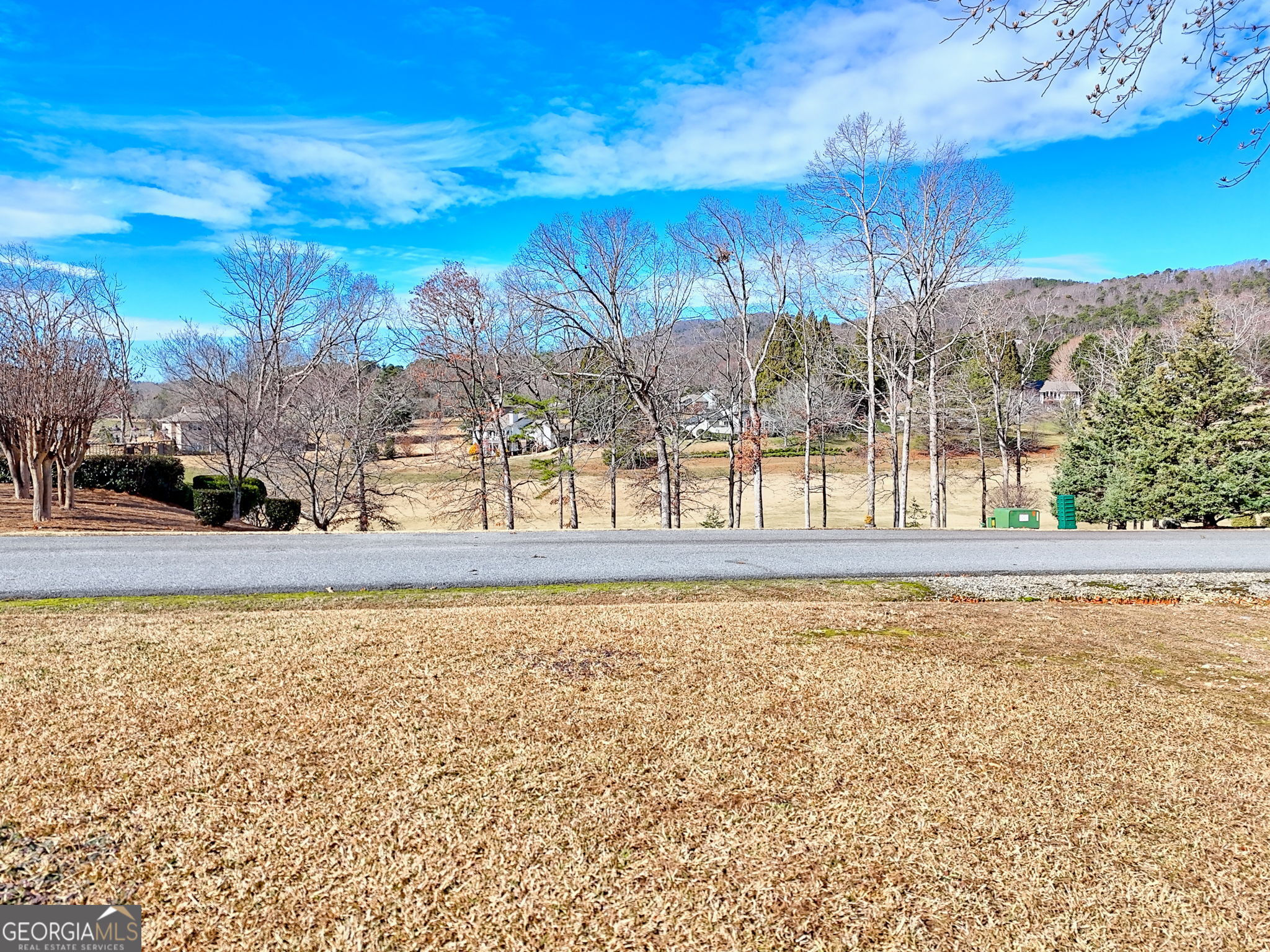 0 Rome Beauty Lane #1105