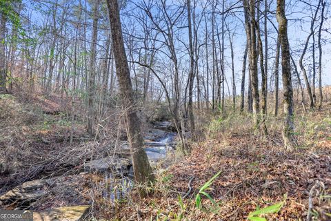 Photo of 4822 Franklin Parkway, Franklin, GA 30217 (MLS # 10667480)