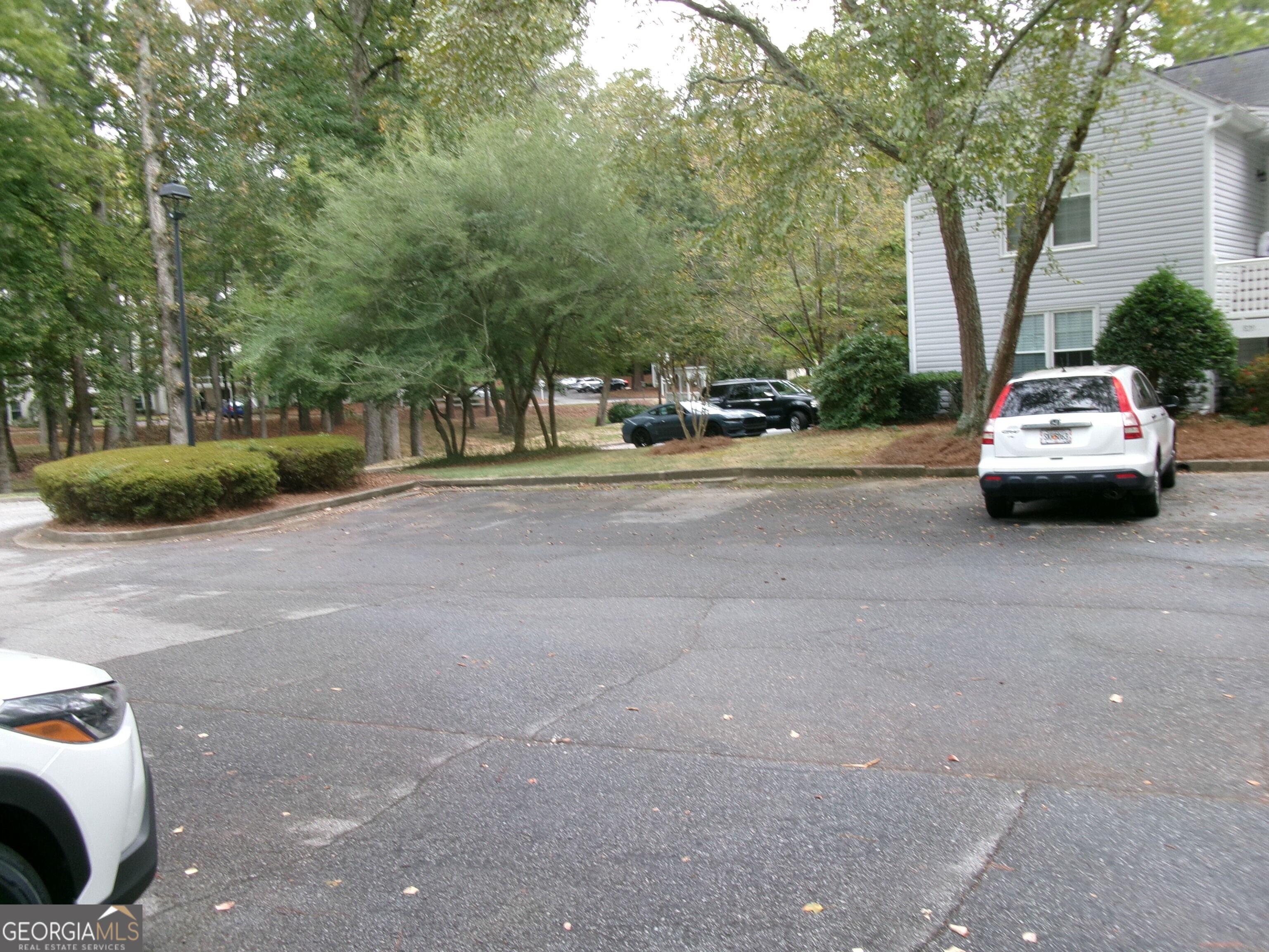806 Cannon RUN SW