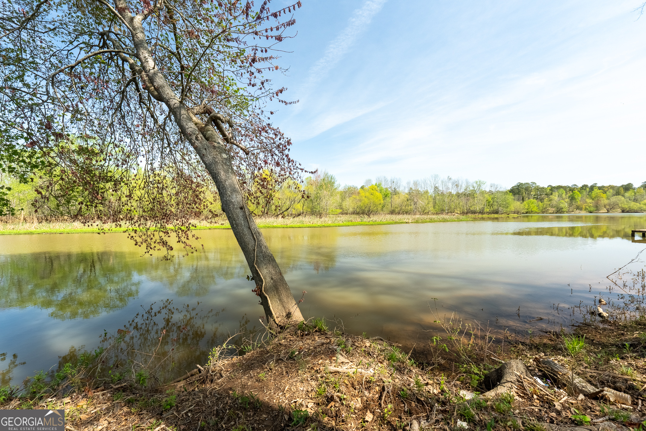 LOT 283 Henry Higgins RD