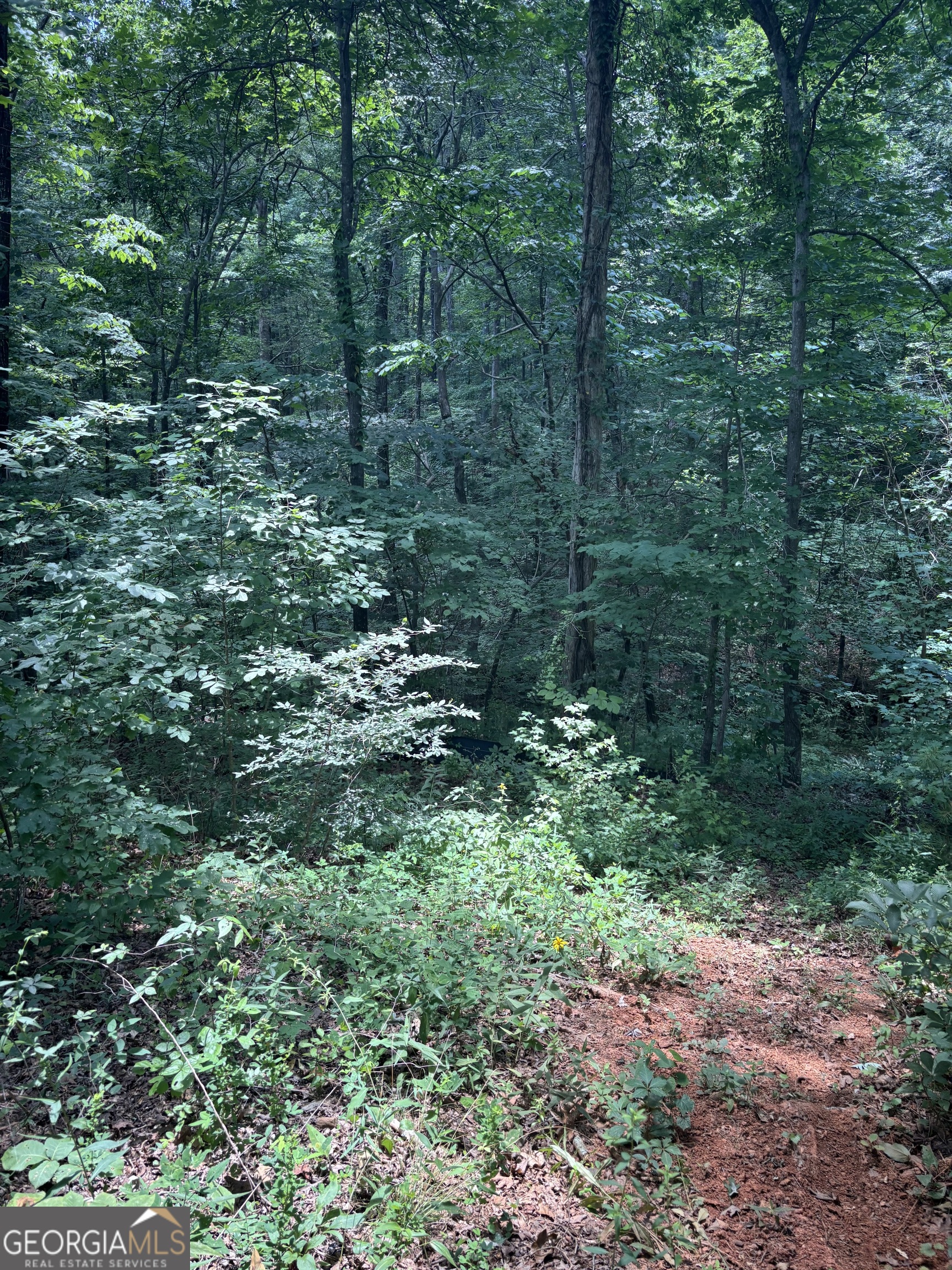 412 Emily Forest WAY
